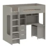 Terrie Loft Bed with Desk